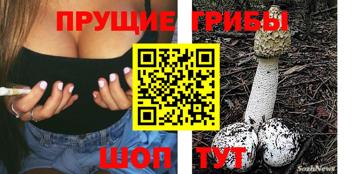Беслан  даркнет сайт  Галлюциногенные грибы мухоморы  Вход с VPN  Галлюциногенные грибы мицелий 