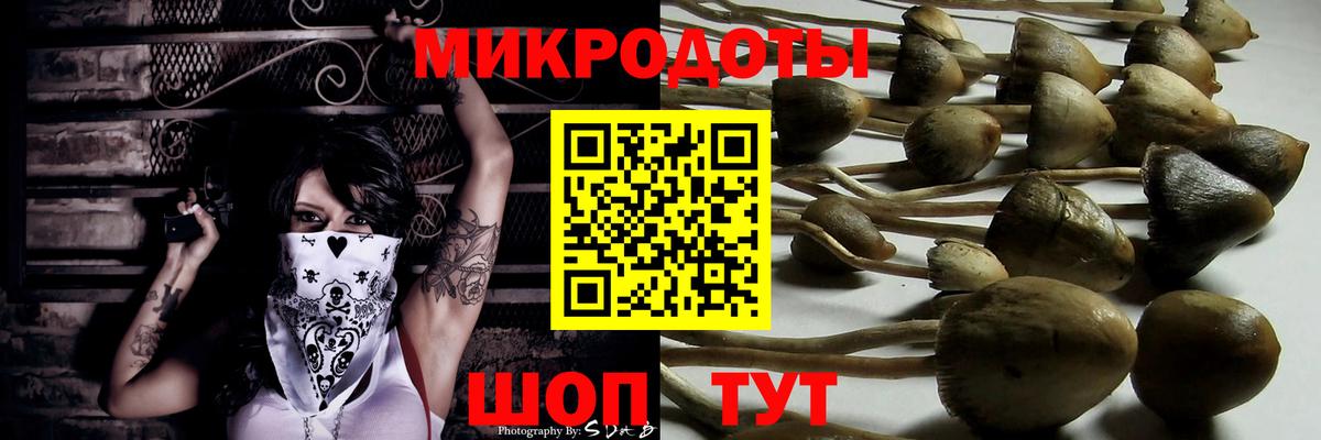 Псилоцибиновые грибы мицелий Беслан